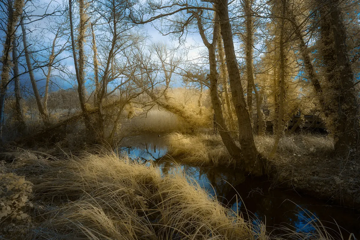 Secluded Poreč Walking Trails: Hidden Paths for 2025