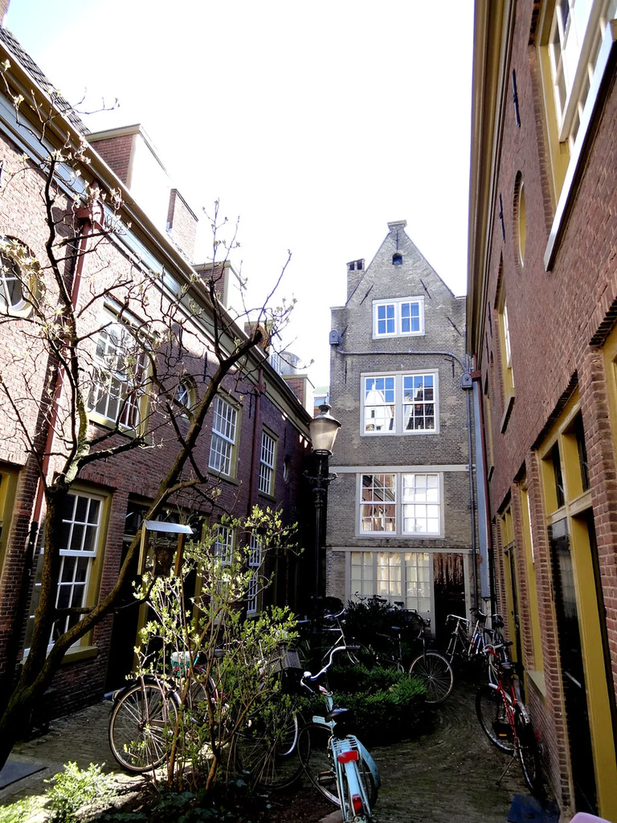 Discover Secret Amsterdam Courtyards: Hidden Gems of 2025