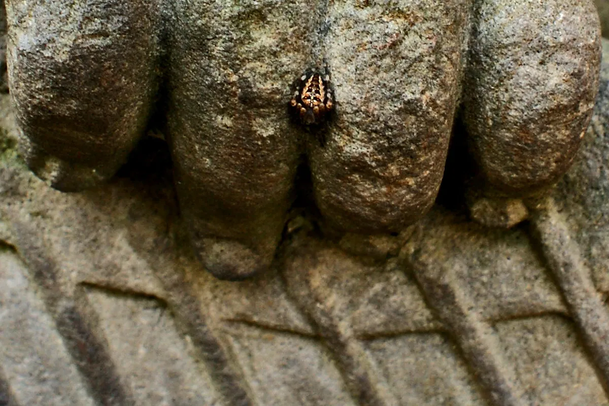 Secret Bruges Photo Spots: Capture Hidden Beauty in 2025