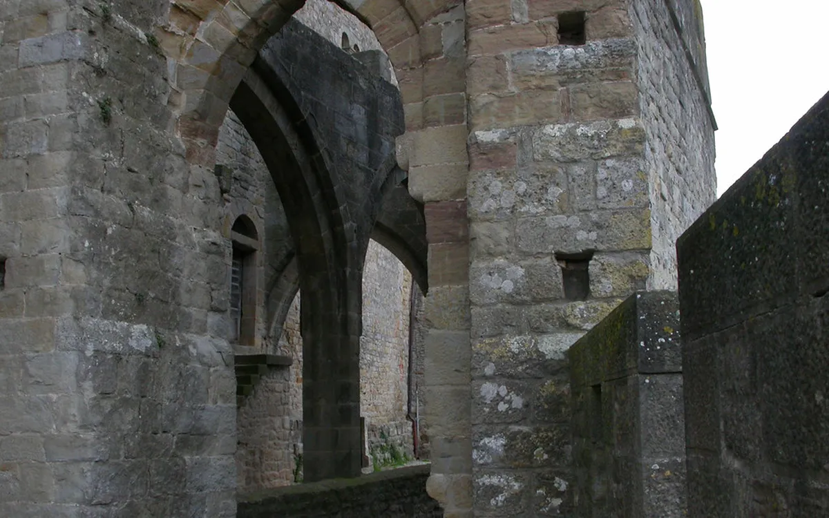 Discover Secret Carcassonne Viewpoints for 2025