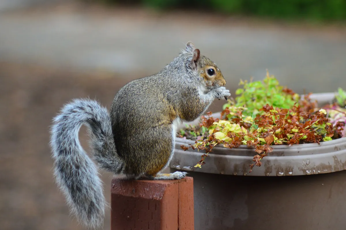 Secret Enna Photo Spots: Capture Hidden Beauty in 2025