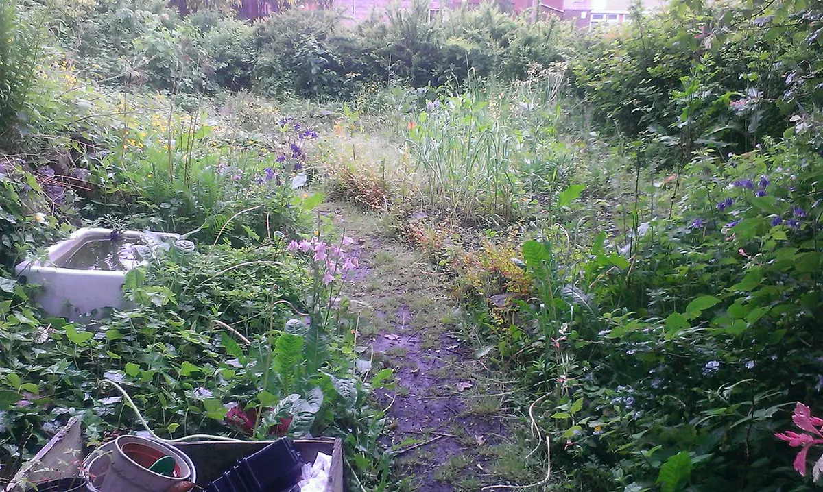 Discover Parma's Secret Gardens in 2025