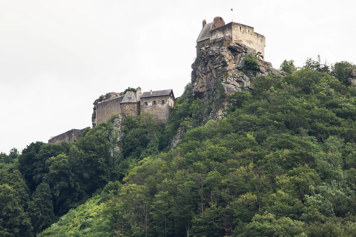 Discover Vienna's Secret Gardens: A Hidden Oasis Guide