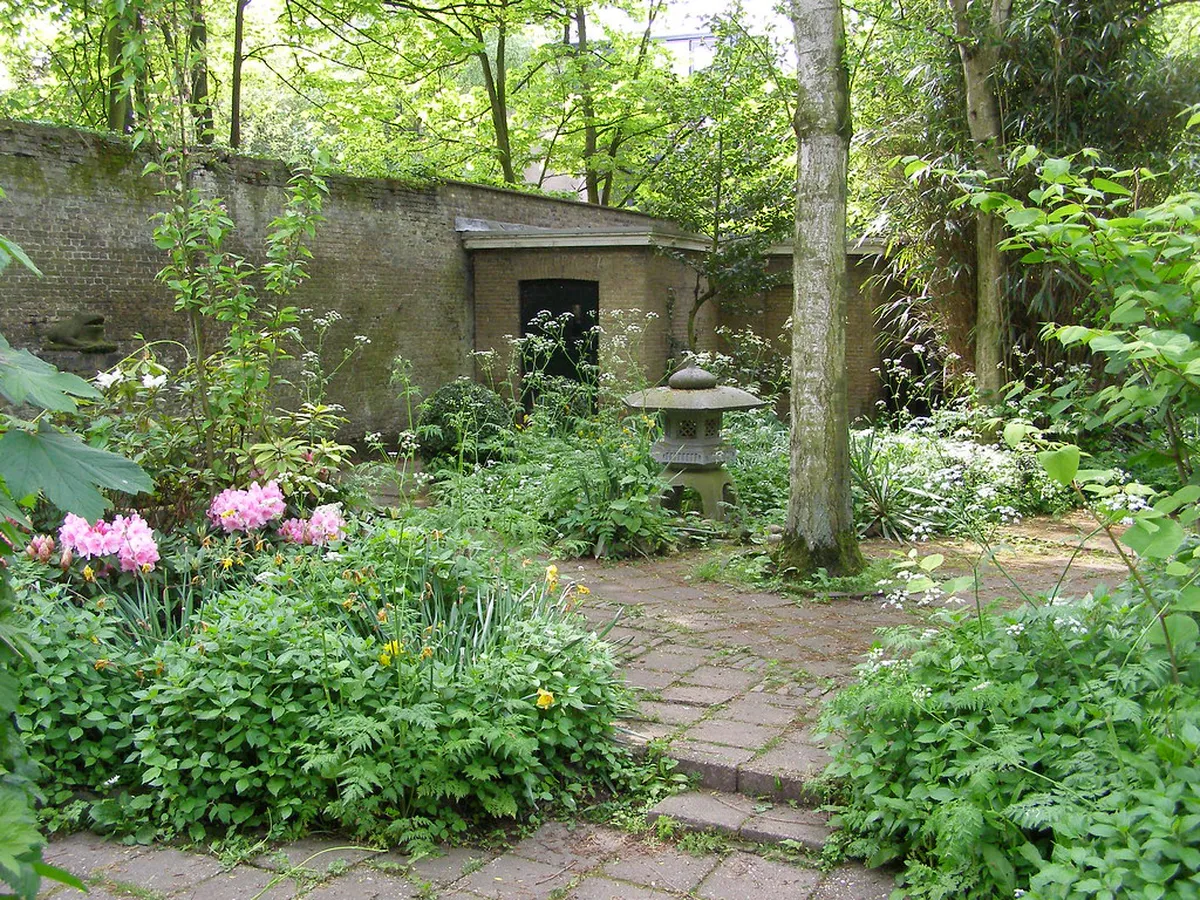 Discover Rotterdam's Secret Gardens in 2025