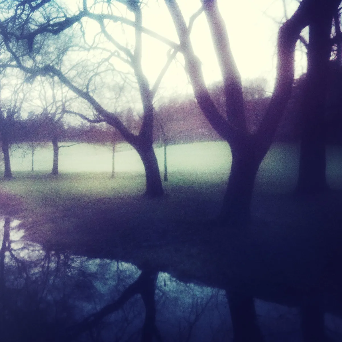 Secret Gardens Stockholm Tips: Discover Hidden Green Oases in 2025