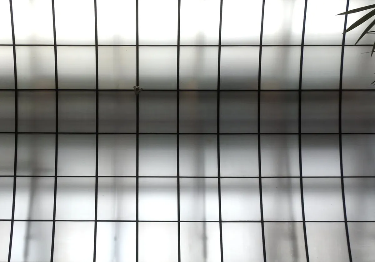 Discover Secret Haarlem Viewpoints 2025: Hidden Gems Await