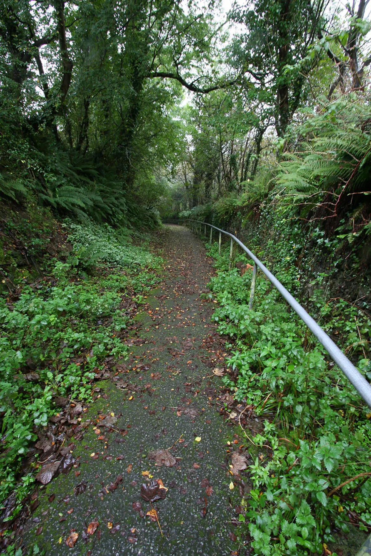 Discover Secret Kinsale Beaches: Your 2025 Coastal Guide