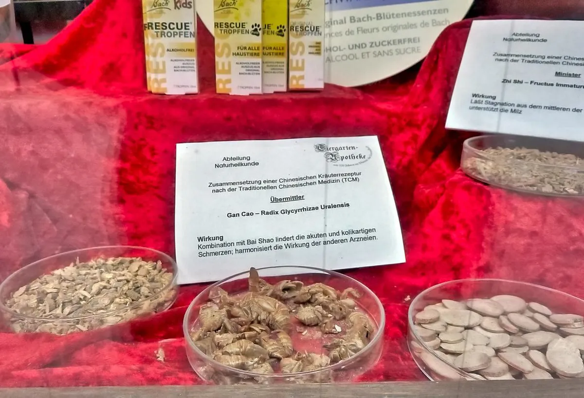 Secret Konstanz Cafes: Your Guide to Hidden Coffee Gems in 2025