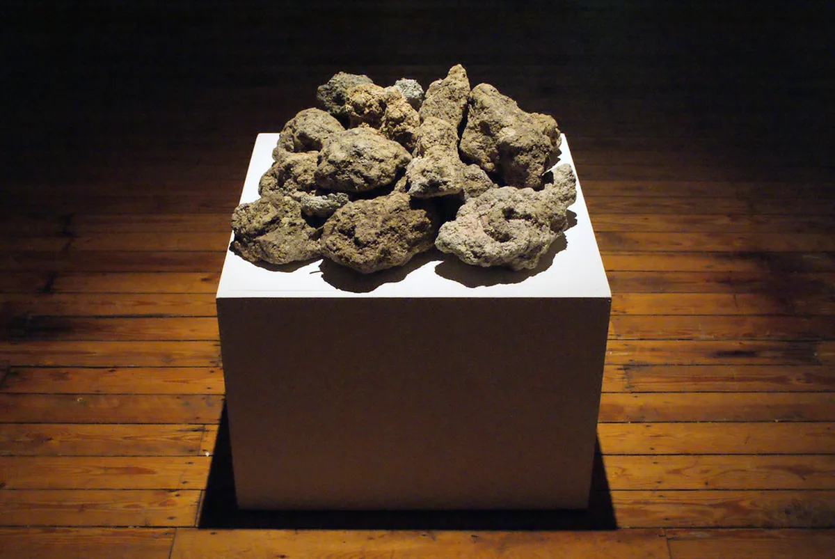 Discover Secret Leuven Courtyards: A Hidden Gem Guide