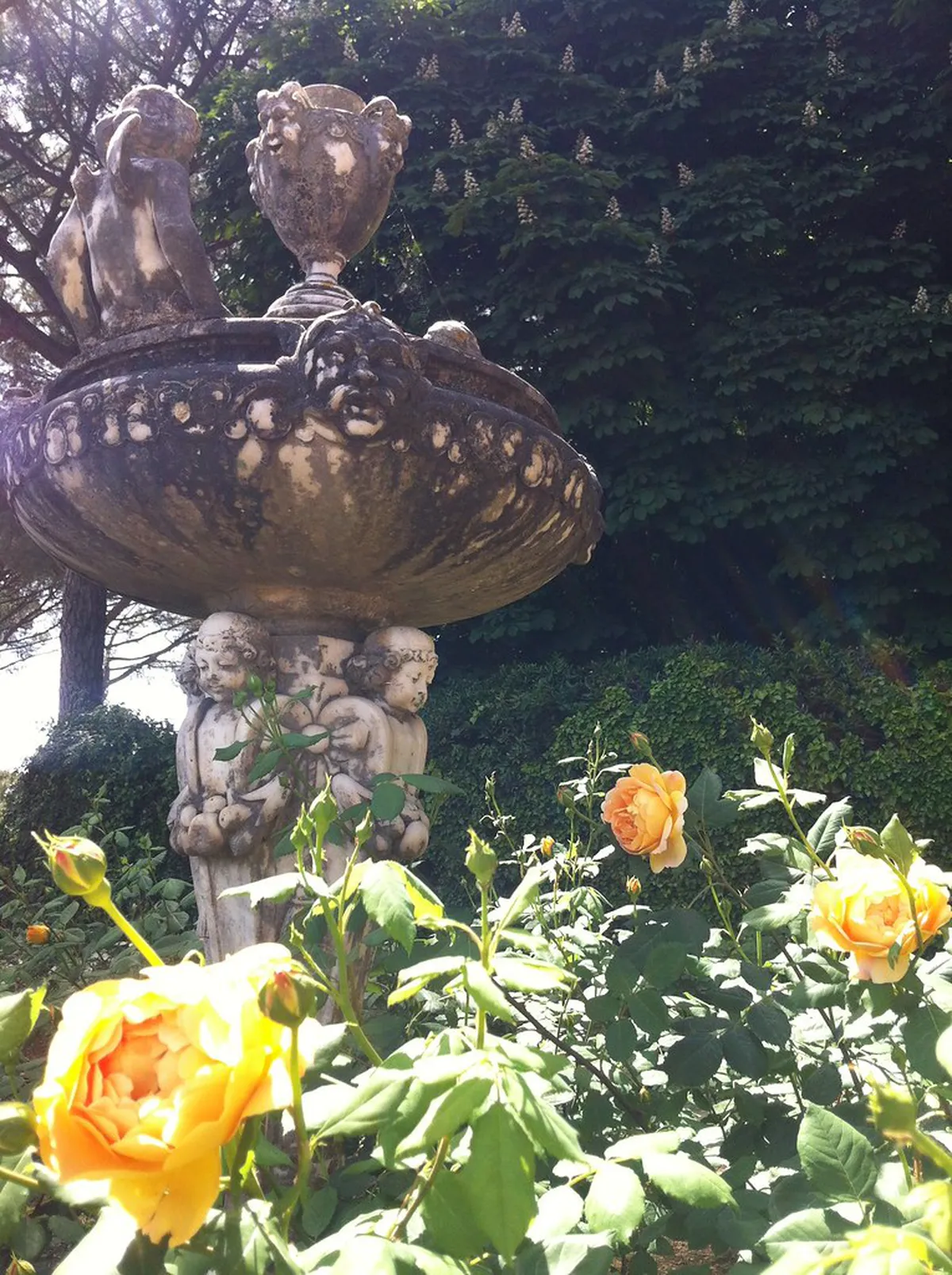 Discover Secret Ravello Garden Tours in 2025