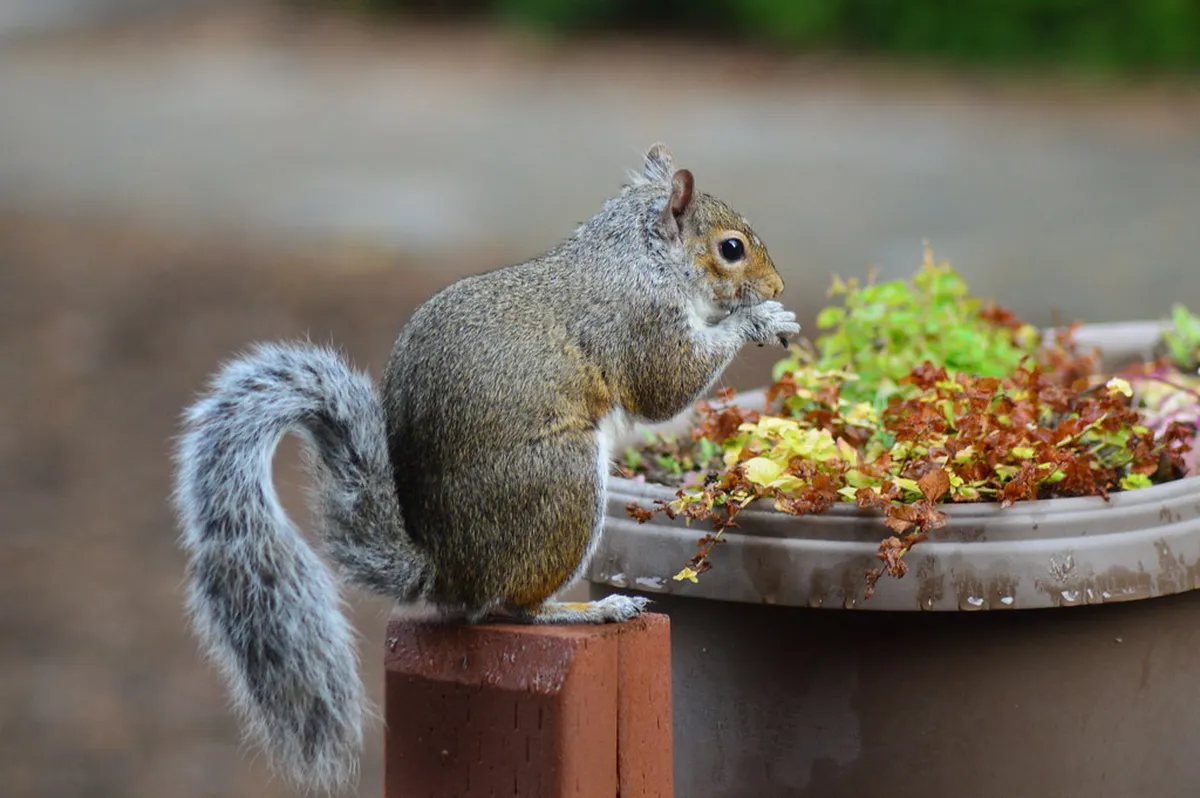 Discover Secret Çanakkale Historical Sites in 2025