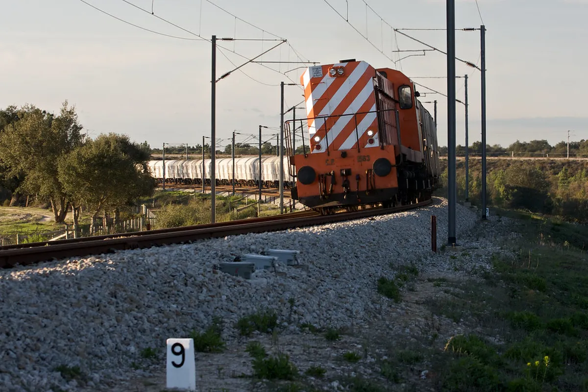 Setúbal Local Artisan Shops: Unique Portuguese Crafts in 2025