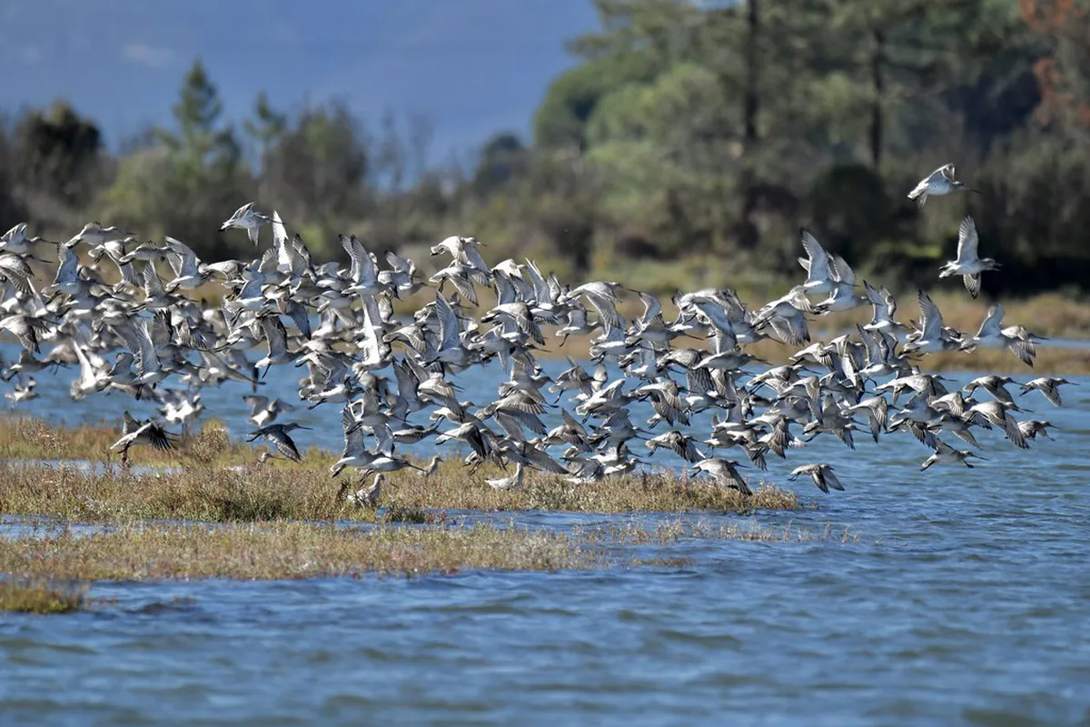 Discover Setúbal's Off-the-Beaten-Path Trails 2025