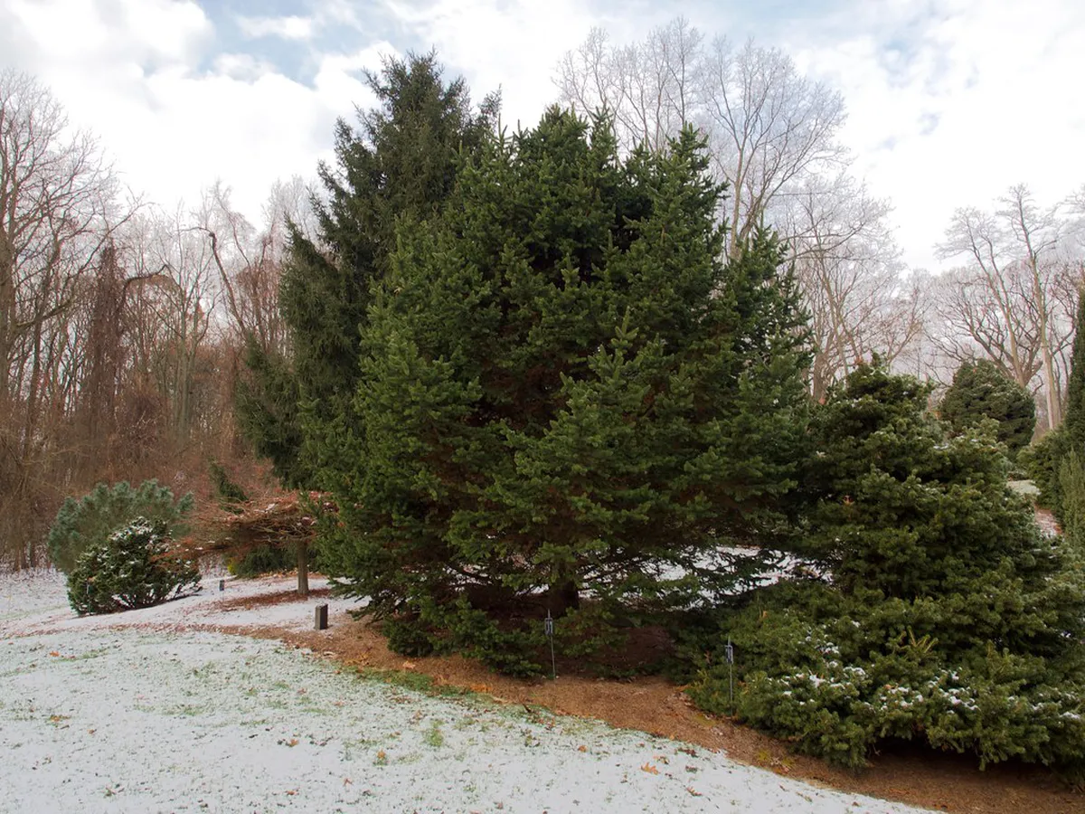 Silves Hidden Gems: Uncovering Algarve's Secret Treasures (2025)