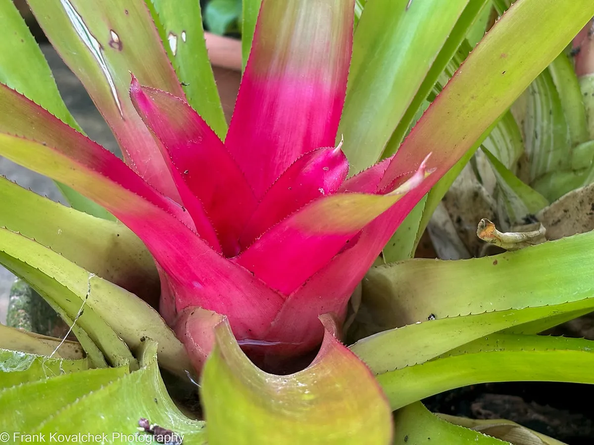 Sintra Hidden Gems: Uncovering Portugal's Secret Treasures in 2025