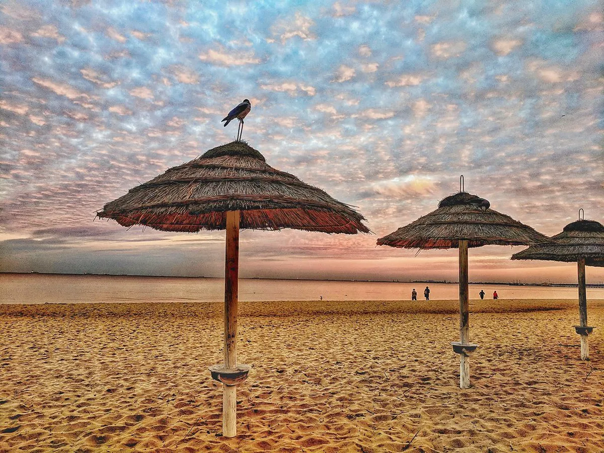 Sopot Quiet Walks: Peaceful Coastal & Forest Trails in 2025