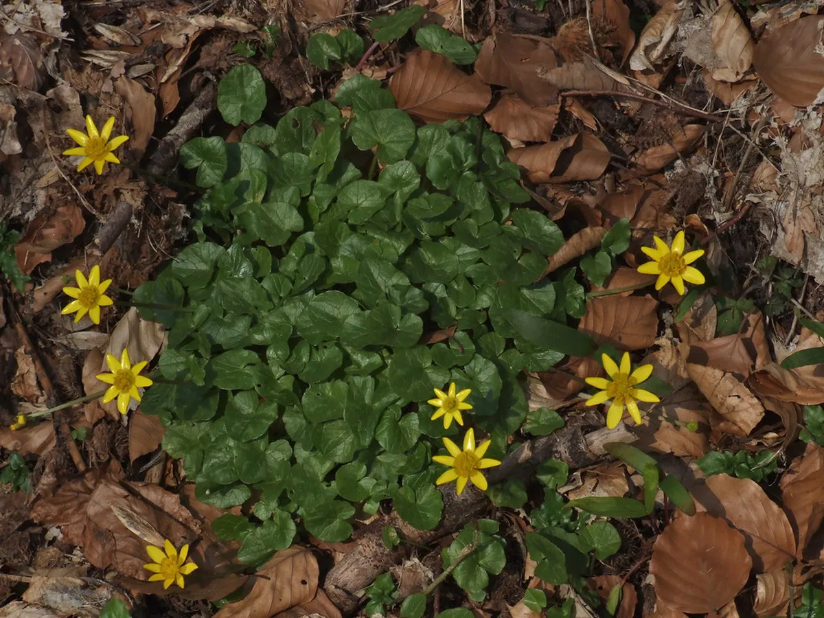 Discover Stirling's Lesser Known Museums for 2025