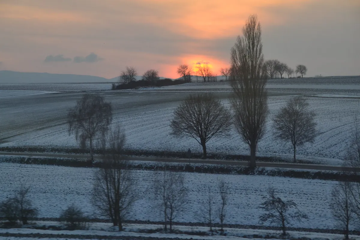 Strasbourg Non-Touristy Activities Guide 2025