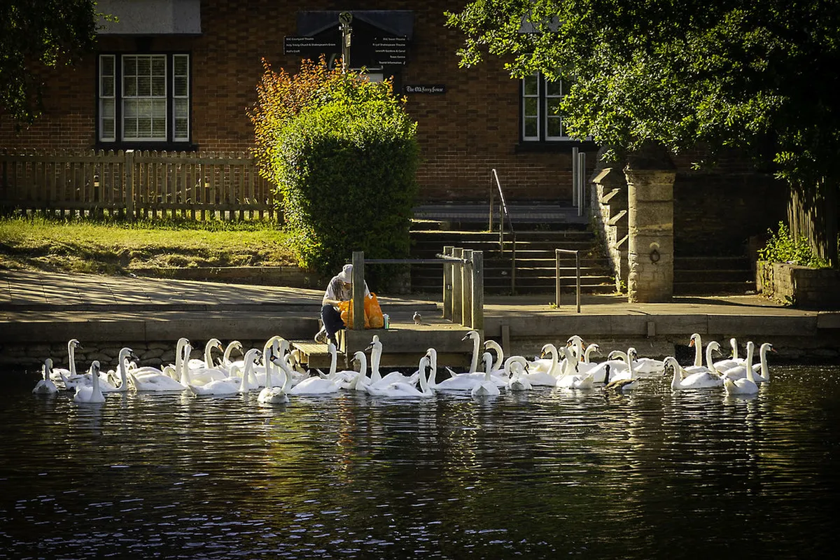 Stratford-upon-Avon Quiet Cafes: Your 2025 Guide