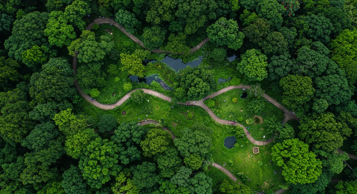 Tainan's Best Hidden Nature Spots & Parks