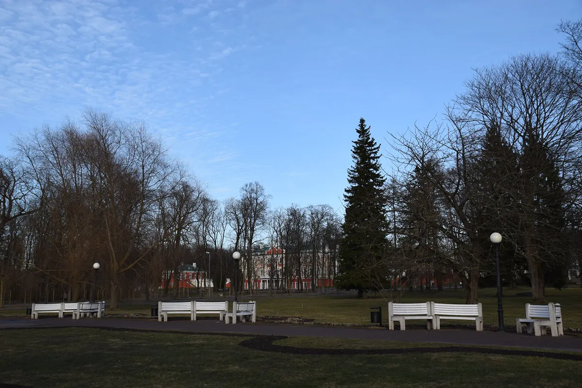 Tallinn Street Art Tour 2025: Explore Hidden Murals