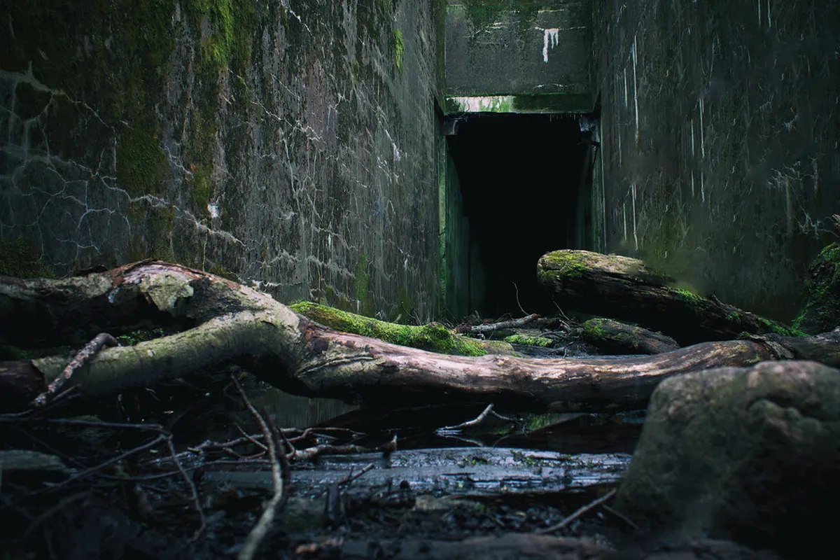 Discover Tallinn Underground Bars: Your 2025 Secret Guide