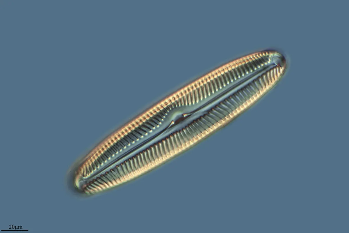 Discover Tarifa's Hidden Gems for 2025