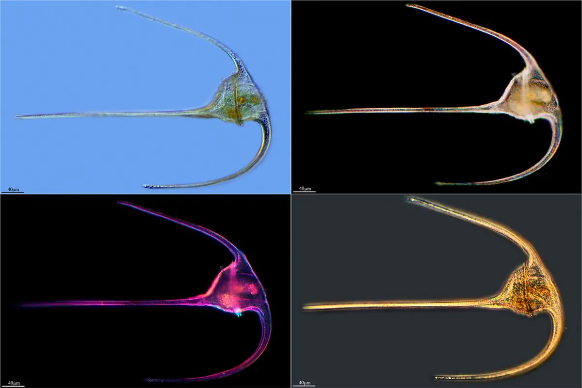 Exploring Tarragona's Hidden Gems: An Ultimate 2025 Guide