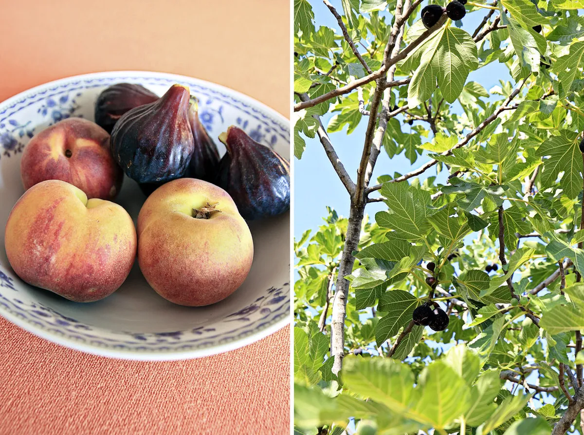 Discover Tivat's Local Craft Markets in 2025