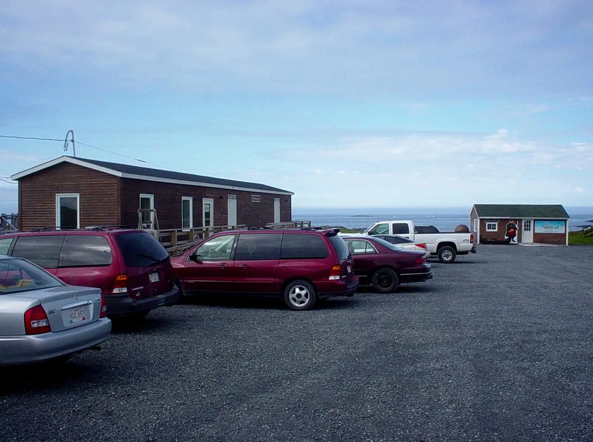 Discover Tomar's Authentic Restaurants: A 2025 Food Guide