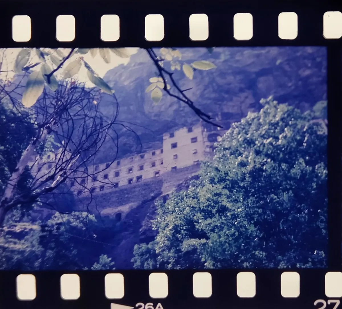 Trabzon Local Food Tours: Authentic Black Sea Flavors