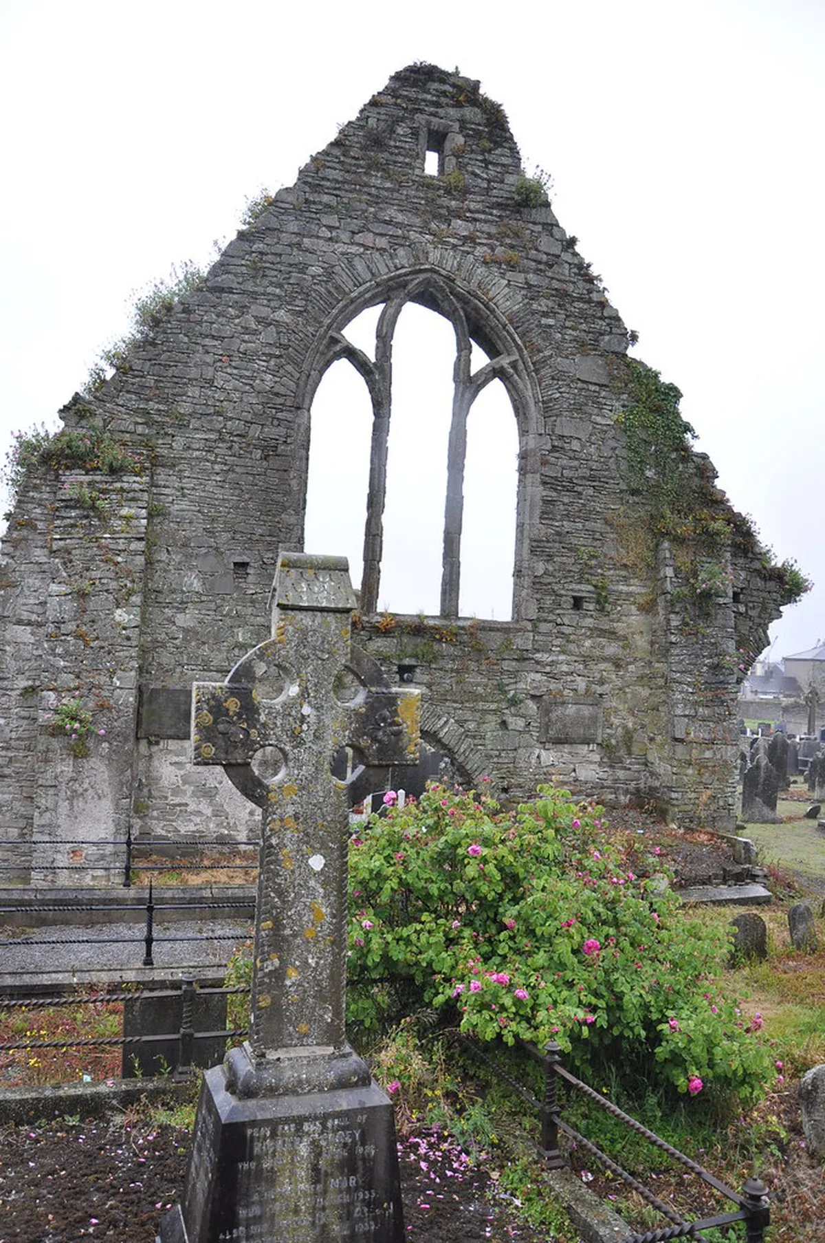 Tralee Hidden Garden Tours: Explore Secret Green Havens