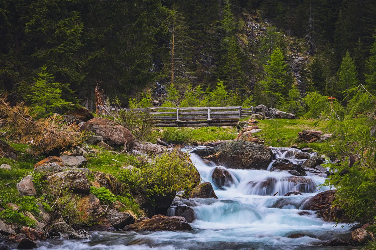 Trento's Hidden Churches: A 2025 Visitor's Guide