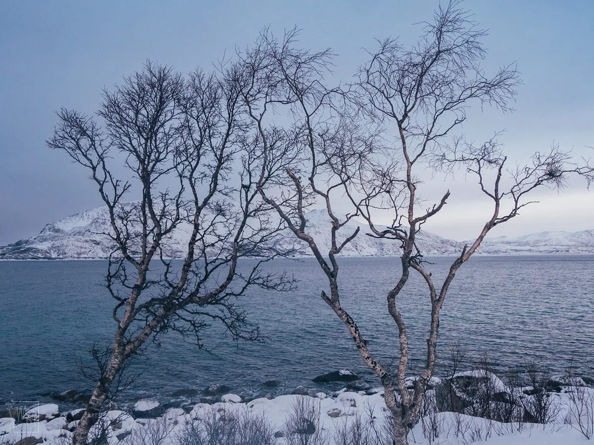 Tromsø Secret Hiking Trails: Unveiling Arctic Wonders in 2025