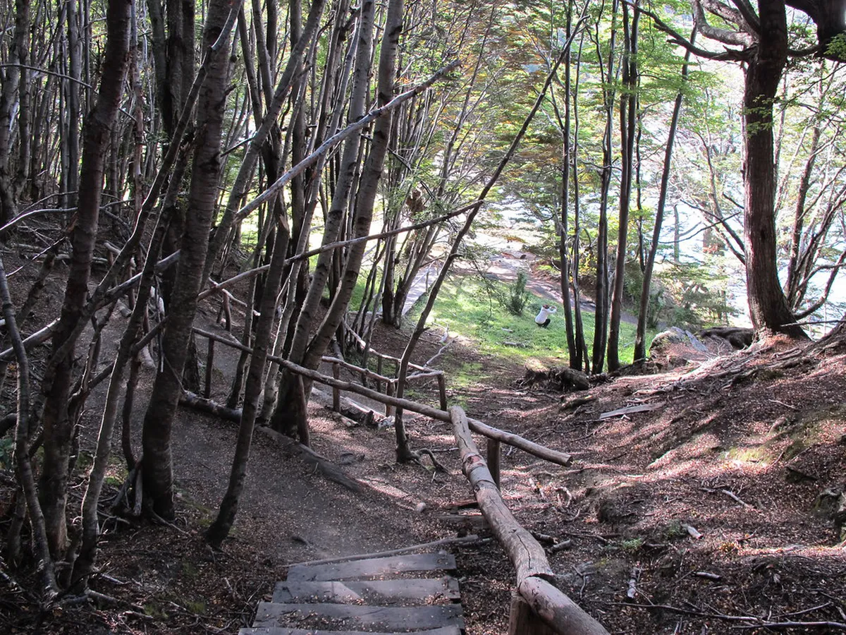 Trondheim Hidden Gems: Ultimate Guide to Secret Spots in 2025