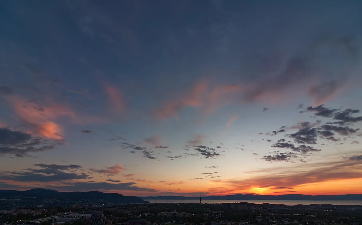 Explore Trondheim Local Markets: A 2025 Shopper's Guide