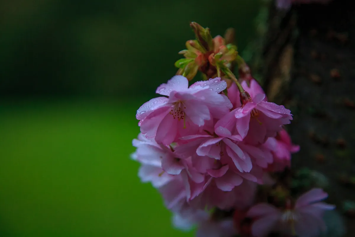 Underrated Rothenburg: Discover Hidden Gems in 2025