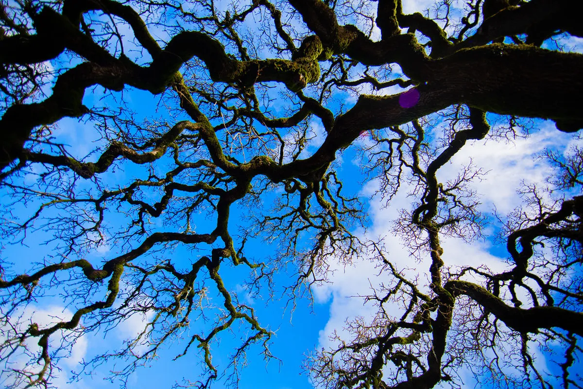 Discover Undiscovered Lausanne Parks in 2025