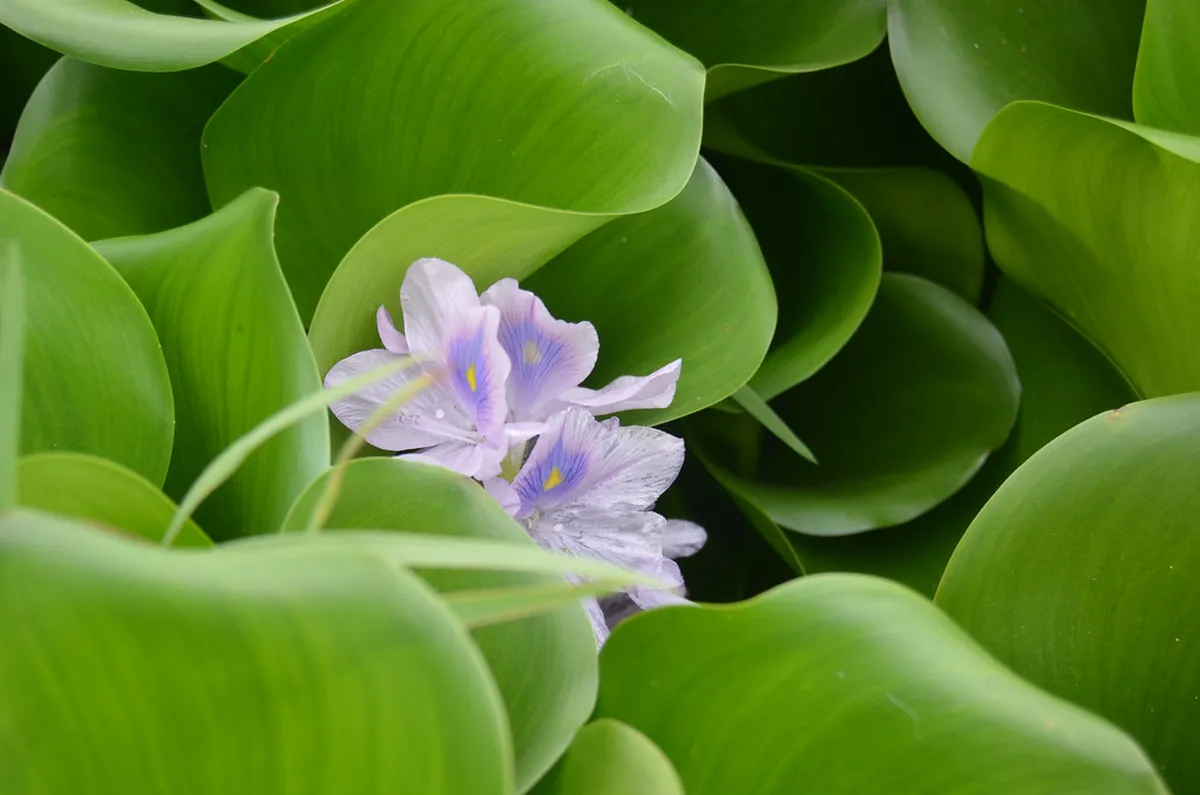 Undiscovered Spoleto Viewpoints: Your 2025 Guide