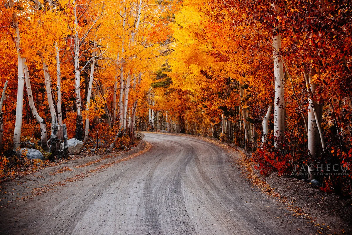 Discover Undiscovered Walks in Ibiza Town 2025