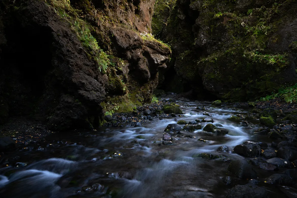 Discover Undiscovered Waterfalls Puerto Cruz 2025