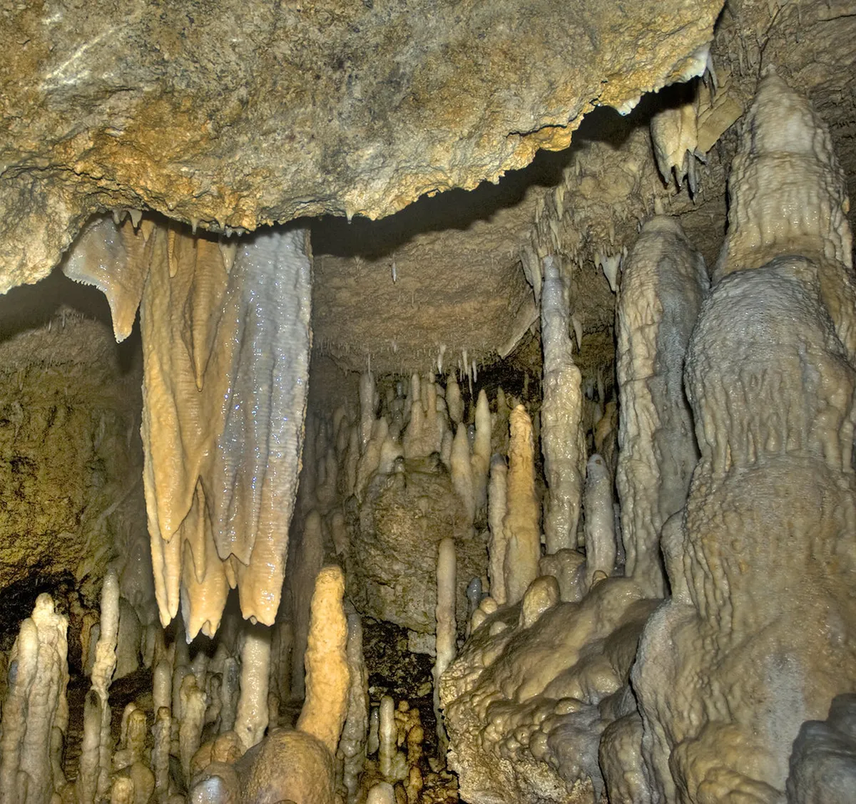 Your Unexplored Caves Peniche Guide for 2025 Adventures