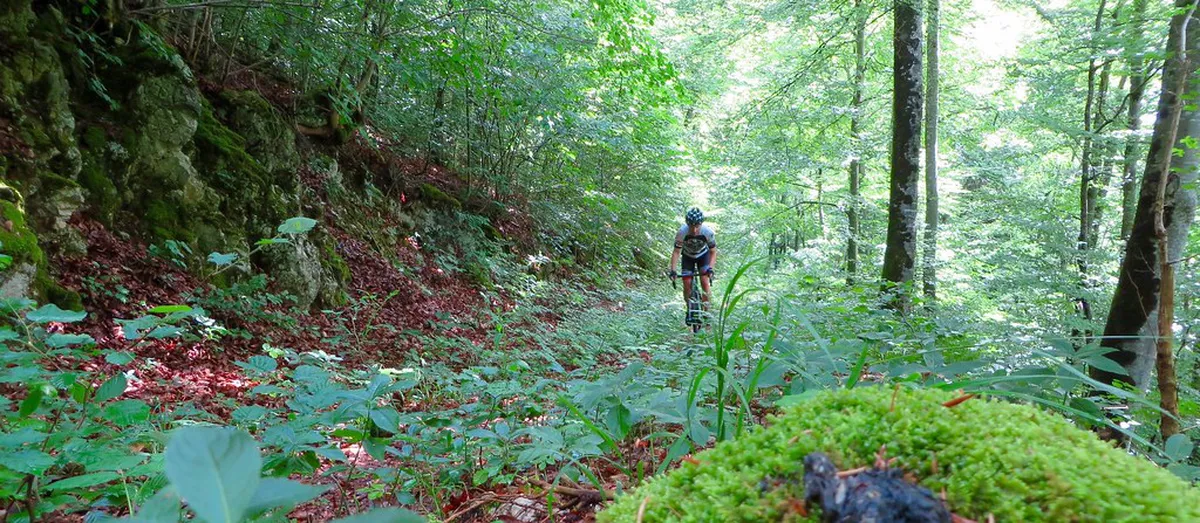 Discover Unexplored Trails La Laguna, Tenerife in 2025