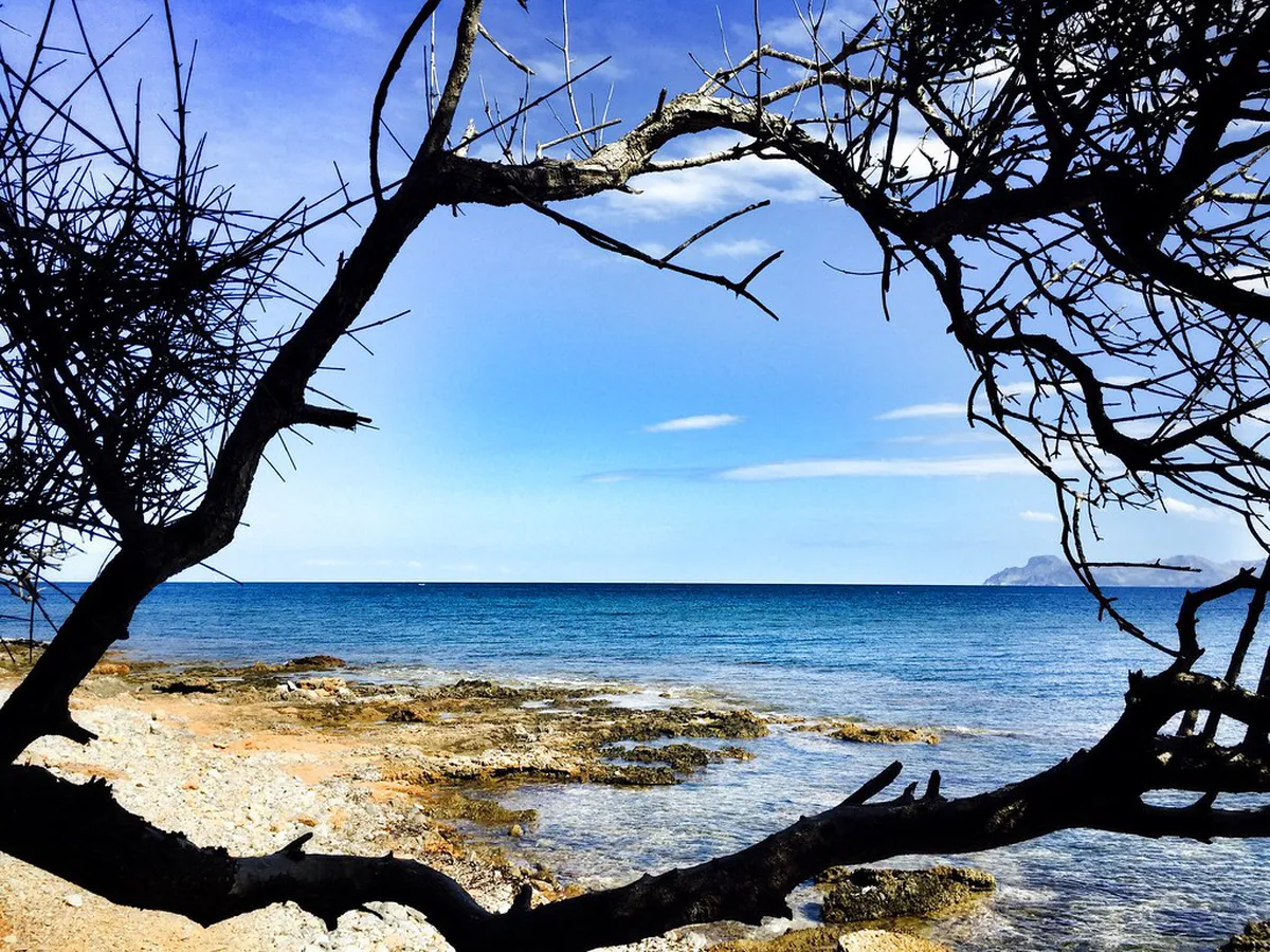 Discover Unique Alcúdia Artisan Shops in 2025