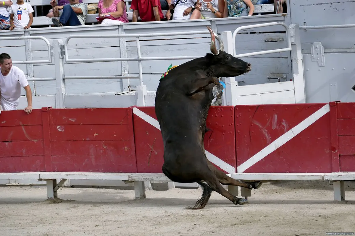 Unique Arles Experiences 2025: An Insider's Guide