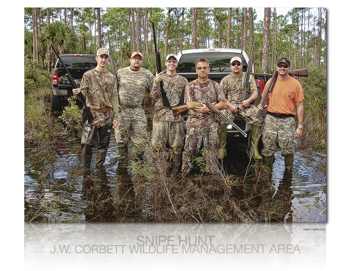 Unique Dover Walking Trails: Hidden Paths & Views for 2025