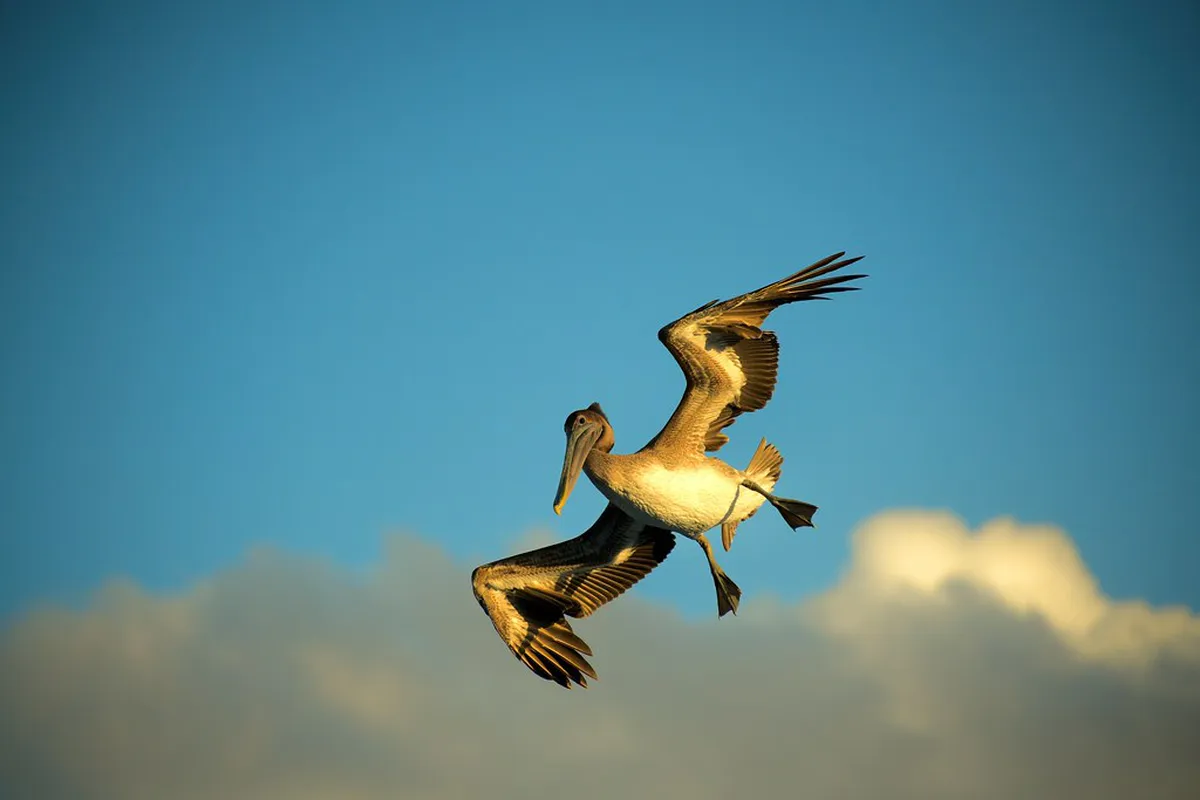 Discover Unique Limerick City Experiences in 2025