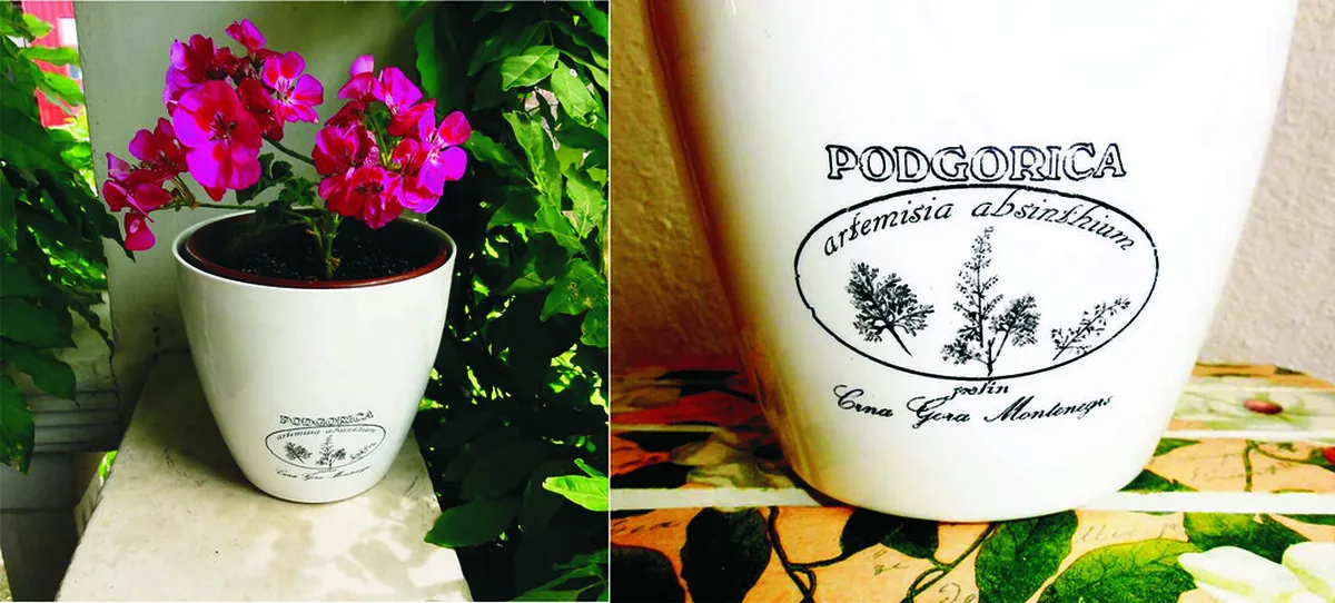 Podgorica's Hidden Gems: Your 2025 Unique Experiences Guide