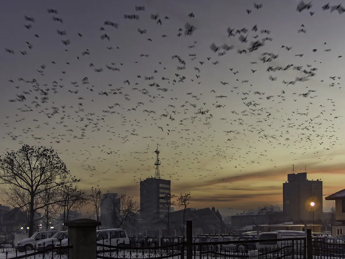 Unique Pristina Attractions: Discover Kosovo's Hidden Gems