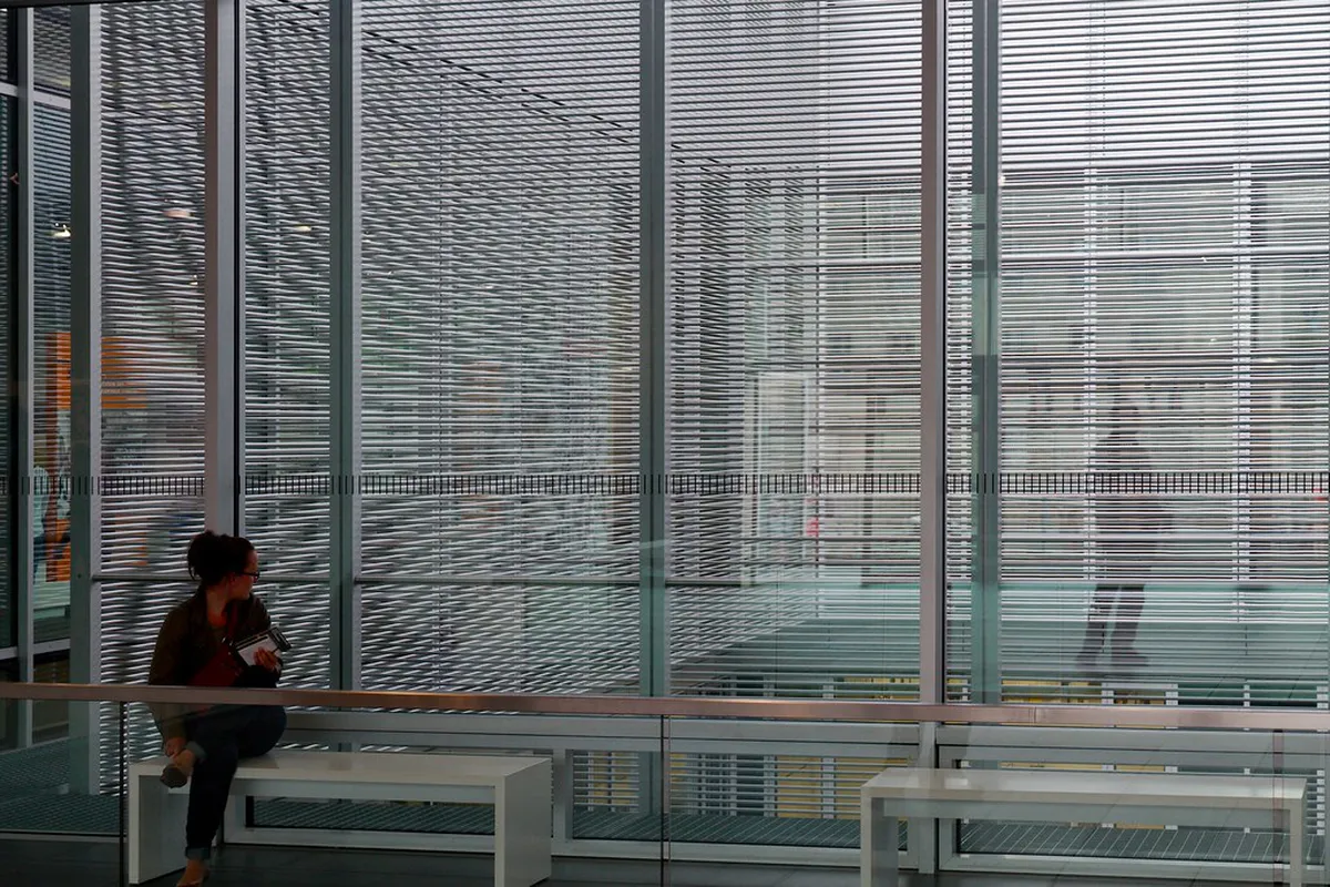 Discover Unique Street Art in Bonn: Your 2025 Guide